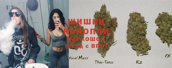 Альфа ПВП Сосновоборск