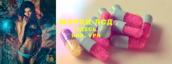 ешки Гусев