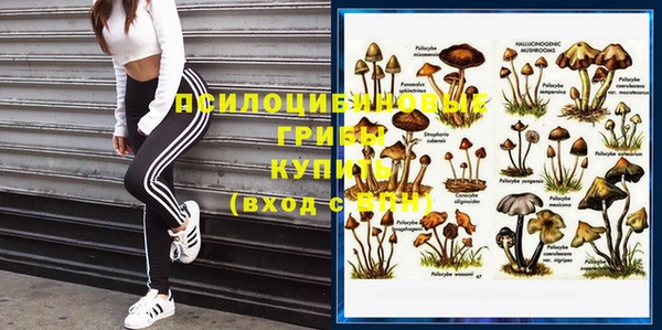 а пвп мука Гусиноозёрск