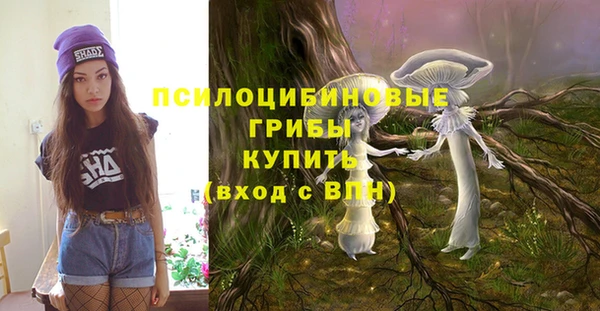 а пвп мука Гусиноозёрск
