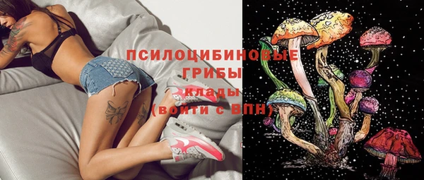 ешки Гусев
