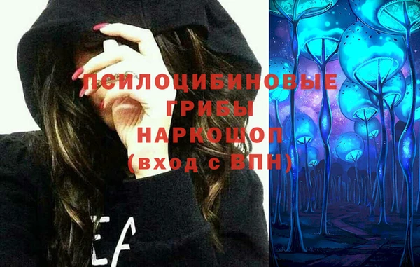 ешки Гусев