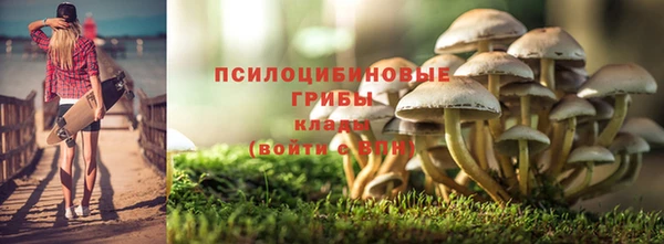 spice Гусь-Хрустальный