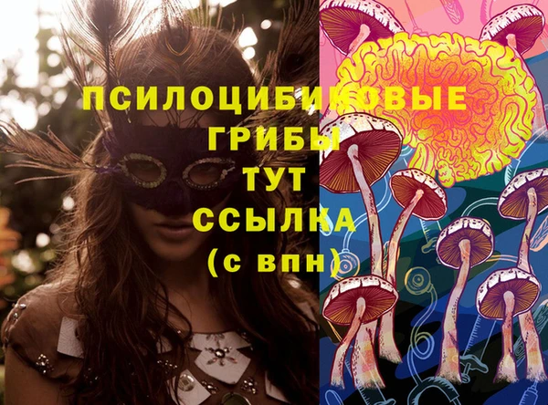 spice Гусь-Хрустальный