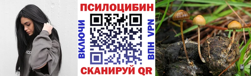OMG рабочий сайт Сургут Псилоцибиновые грибы Cubensis