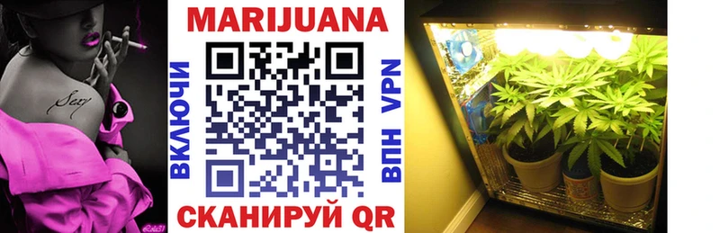Канабис конопля Сургут